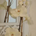 费恩德尼旅馆 凯西克